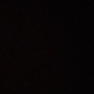 Meet your Posher, Maddy